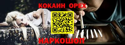 тгк Новодвинск