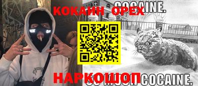 стаф Новозыбков