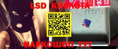 тгк Новодвинск