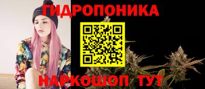 стаф Новозыбков